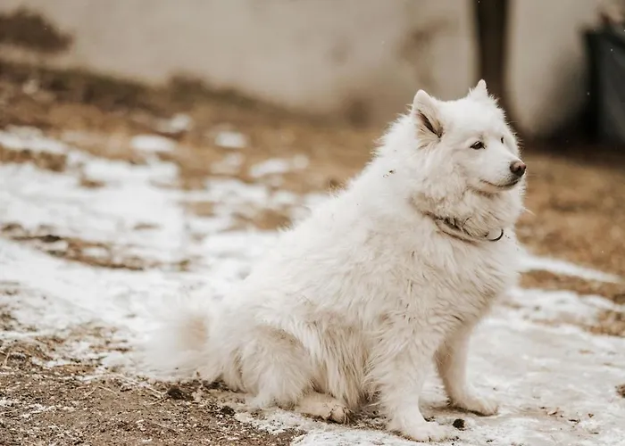 Adelwoehrerhof Falting